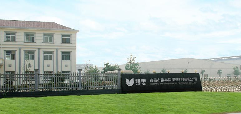 Company profile